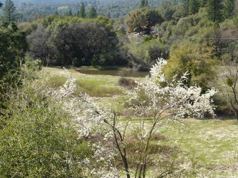 3160 Nugget Dr, Placerville, CA 95667 photo 45