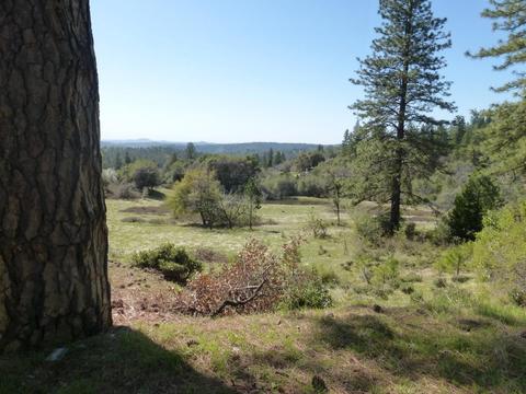 3160 Nugget Dr, Placerville, CA 95667 photo 47