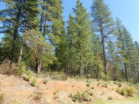 3160 Nugget Dr, Placerville, CA 95667 photo 69