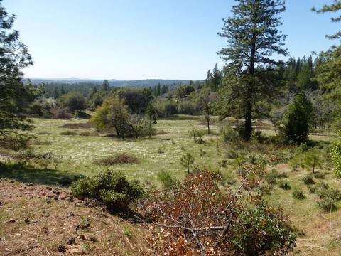 3160 Nugget Dr, Placerville, CA 95667 photo 48