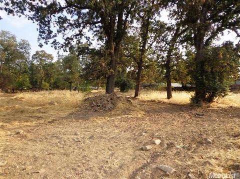 7904 Fair Oaks Blvd, Carmichael, CA 95608 photo 6