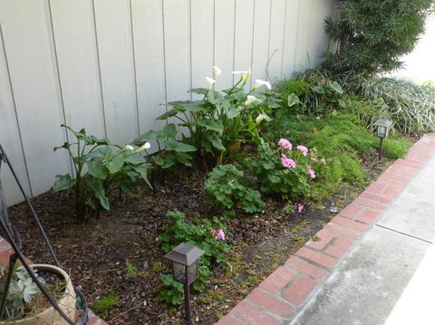 730 Hartley Ct, Gustine, CA 95322 photo 3