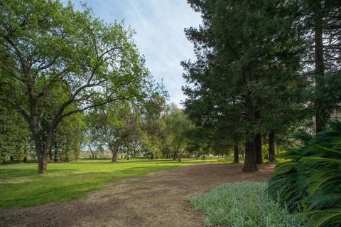 31 Ettl Ct, Gridley, CA 95948 photo 5