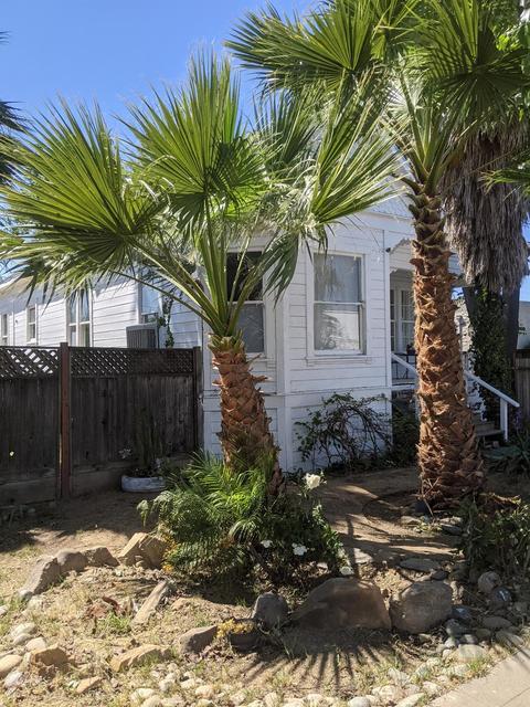 583 5th, Gustine, CA 95322 photo 7