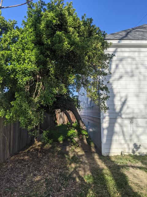 583 5th, Gustine, CA 95322 photo 17