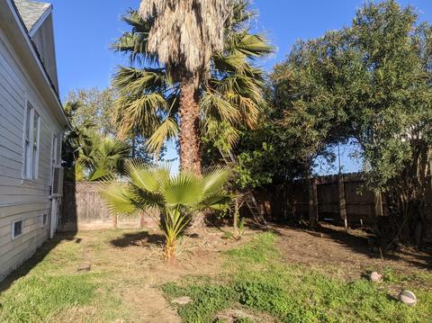 583 5th, Gustine, CA 95322 photo 11