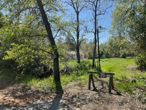 3017 Garfield Ave, Carmichael, CA 95608 photo 3
