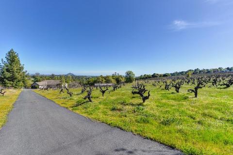 13750 Ridge Rd, Sutter Creek, CA 95685 photo 49