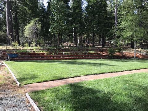 25100 Bear Hill Rd, Volcano, CA 95689 photo 35