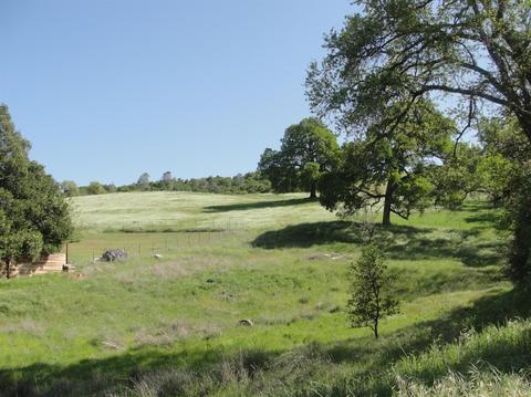 412 Gold Strike Rd, San Andreas, CA 95249 photo 5