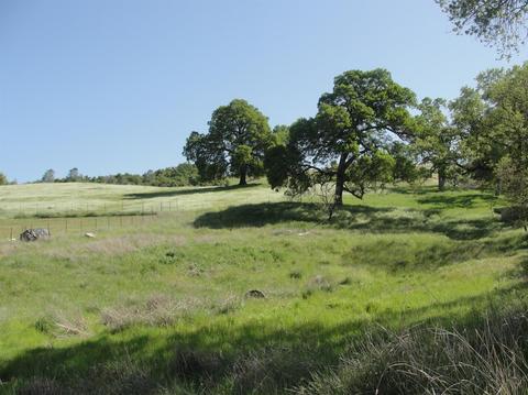 412 Gold Strike Rd, San Andreas, CA 95249 photo 4