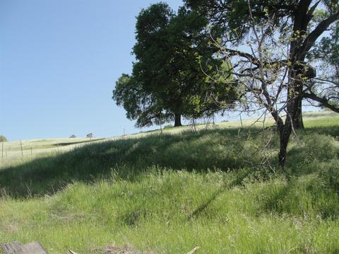 412 Gold Strike Rd, San Andreas, CA 95249 photo 8