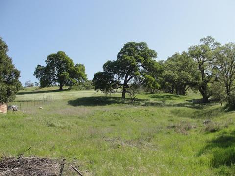 412 Gold Strike Rd, San Andreas, CA 95249 photo 3