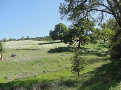 412 Gold Strike Rd, San Andreas, CA 95249 photo 6