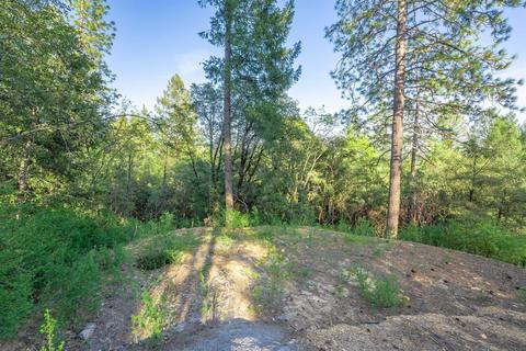 580 P C Ln, Colfax, CA 95713 photo 12