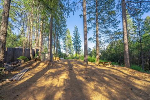 580 P C Ln, Colfax, CA 95713 photo 21