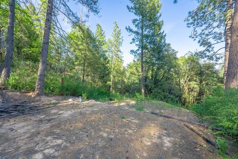 580 P C Ln, Colfax, CA 95713 photo 11