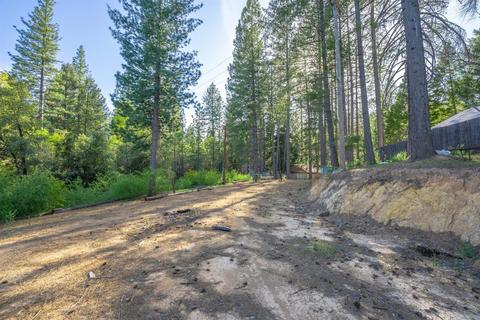 580 P C Ln, Colfax, CA 95713 photo 13