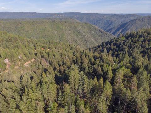 580 P C Ln, Colfax, CA 95713 photo 24