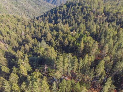 580 P C Ln, Colfax, CA 95713 photo 23