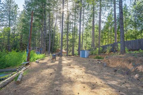 580 P C Ln, Colfax, CA 95713 photo 14