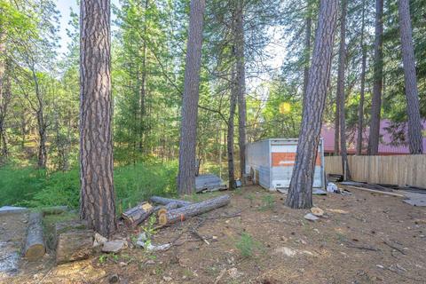 580 P C Ln, Colfax, CA 95713 photo 19