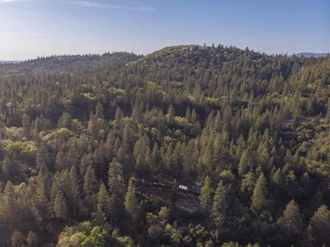 580 P C Ln, Colfax, CA 95713 photo 26