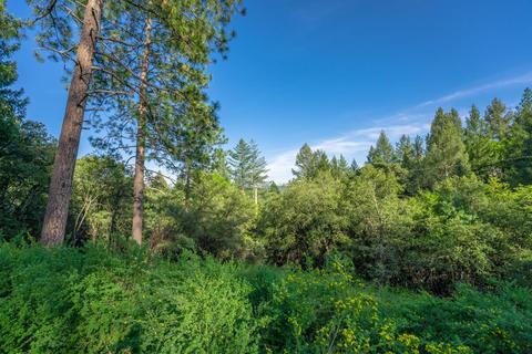 580 P C Ln, Colfax, CA 95713 photo 10