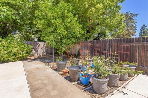 4503 El Macero Dr, Davis, CA 95618 photo 46