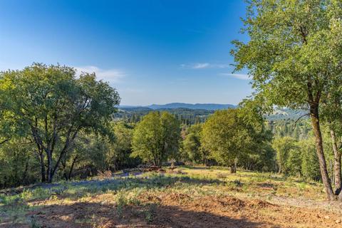 17881 Carter Ln, Jackson, CA 95642 photo 16