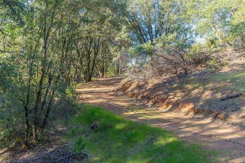 17881 Carter Ln, Jackson, CA 95642 photo 19