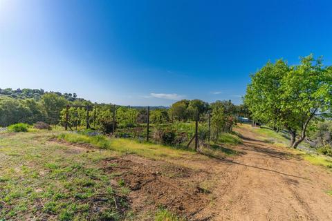 17881 Carter Ln, Jackson, CA 95642 photo 24