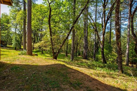 20949 Warner Rd E, Pine Grove, CA 95665 photo 6