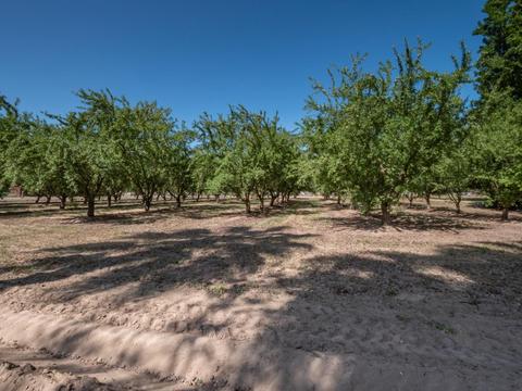 5206 Tully Rd, Modesto, CA 95356 photo 27