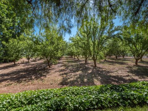 5206 Tully Rd, Modesto, CA 95356 photo 26