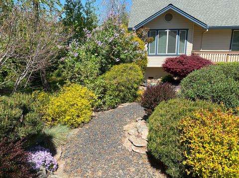 788 Dogwood Dr, Murphys, CA 95247 photo 23