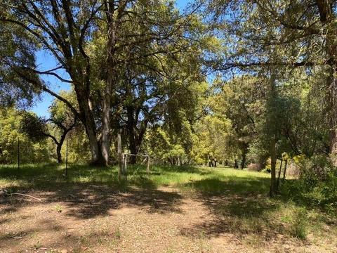 2721 La Paz Rd, Placerville, CA 95667 photo 47