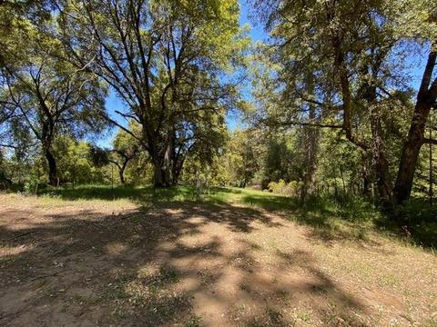 2721 La Paz Rd, Placerville, CA 95667 photo 44