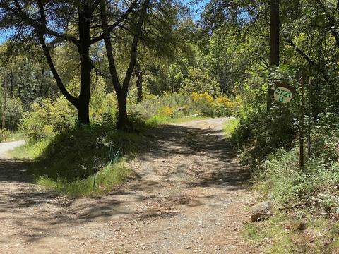 2721 La Paz Rd, Placerville, CA 95667 photo 37