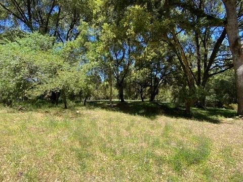 2721 La Paz Rd, Placerville, CA 95667 photo 45
