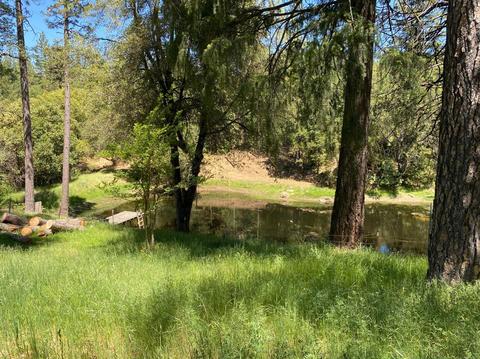 2721 La Paz Rd, Placerville, CA 95667 photo 7