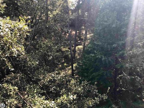 Undisclosed, Sonora, CA 95370 photo 34