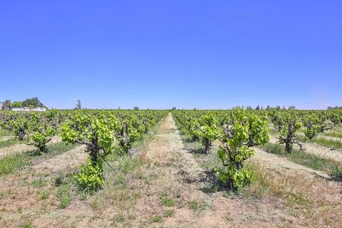9175 E Underwood Rd, Acampo, CA 95220 photo 47