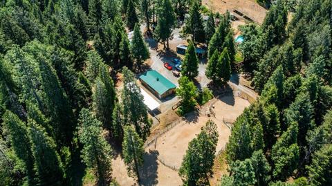 24401 Shake Ridge Rd, Volcano, CA 95689 photo 63