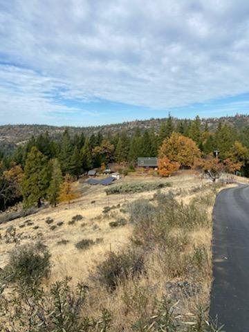 24401 Shake Ridge Rd, Volcano, CA 95689 photo 72
