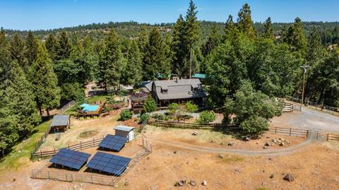 24401 Shake Ridge Rd, Volcano, CA 95689 photo 62
