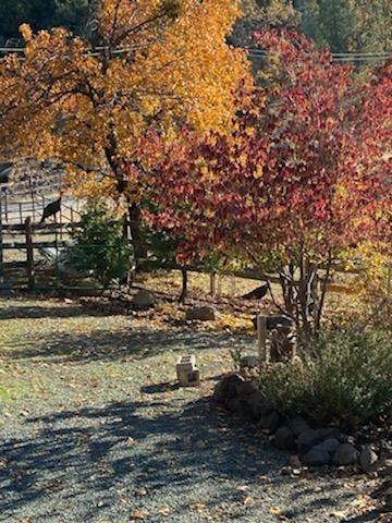 24401 Shake Ridge Rd, Volcano, CA 95689 photo 69