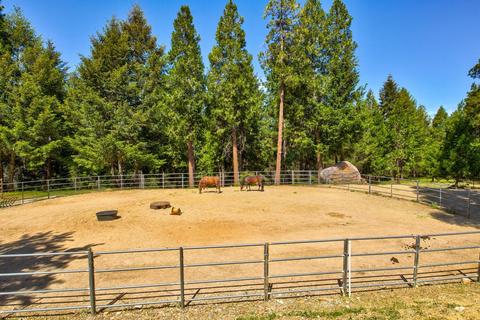 24401 Shake Ridge Rd, Volcano, CA 95689 photo 43