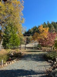 24401 Shake Ridge Rd, Volcano, CA 95689 photo 66