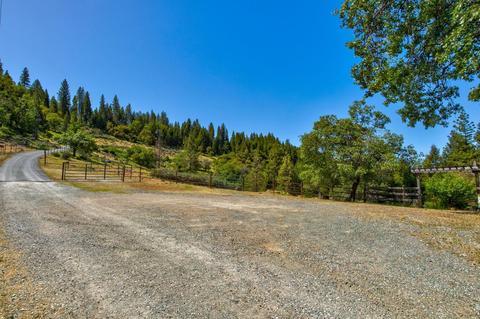 24401 Shake Ridge Rd, Volcano, CA 95689 photo 59